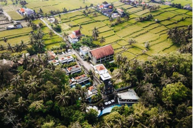 The Ning Resor